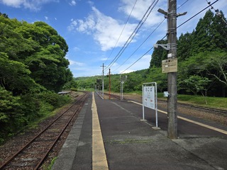 20250522_102330.jpg