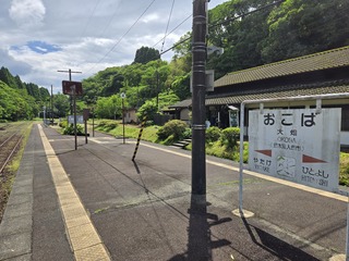 20250522_102422.jpg