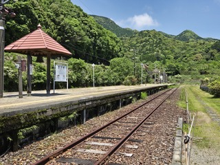 20250522_122621.jpg