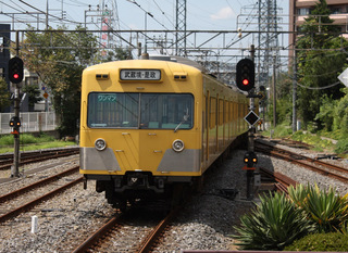 o101-1.jpg