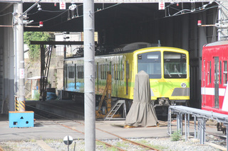 r-nanohana130915.jpg