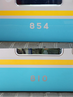 shaban800.jpg