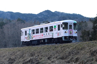 skr30115011801~.JPG