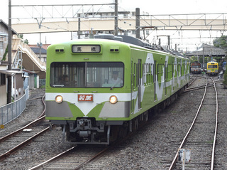 wakaba1.jpg